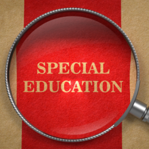 Ετήσια επιμόρφωση στην Ειδική Αγωγή και Εκπαίδευση (Ε.Α.Ε.): ολιστική προσέγγιση