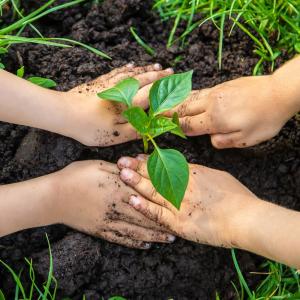 Διατροφική Δικαιοσύνη, Κοινωνική Οικονομία και Αειφορία. Σχεδιασμός Εκπαιδευτικών Εργαστηρίων Δεξιοτήτων.
